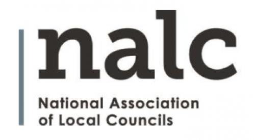 NALC Issues survey 2022 on local elections - Main Image